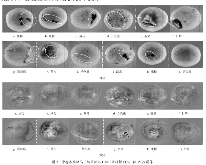 1667961942791615.png 圖片8.png