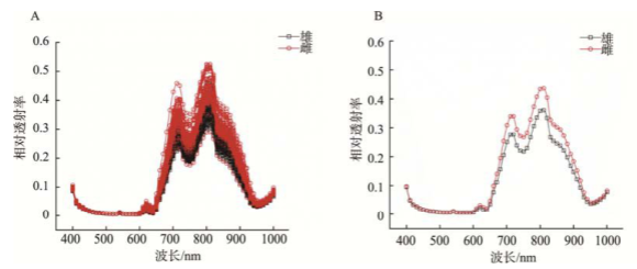 1669166770168454.png 圖片6.png