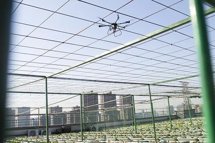 基于無人機(jī)高光譜技術(shù)的煙草生化指標(biāo)分析研究