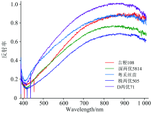 基于高光譜成像技術(shù)的稻谷品種鑒別研究