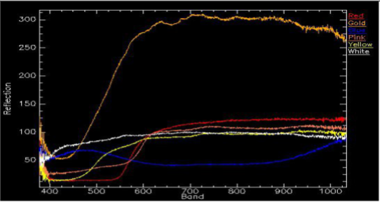 1668992884182516.png 圖片5.png