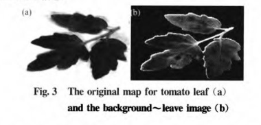 1681197354188728.png 圖片4.png