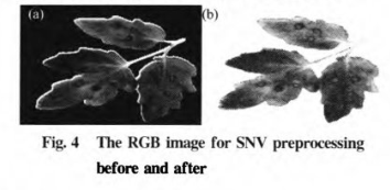 1681197364163475.png 圖片5.png