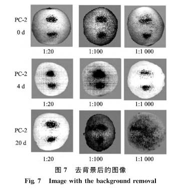 1704436767160750.png image.png