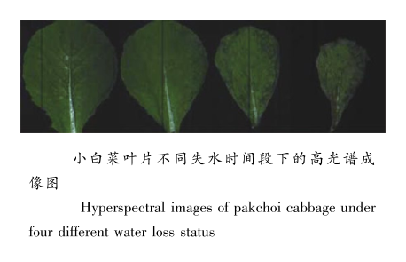 1705563072246399.png image.png