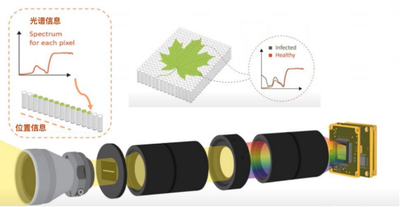 彩譜高光譜相機對輪胎表面異物檢測的實際應用