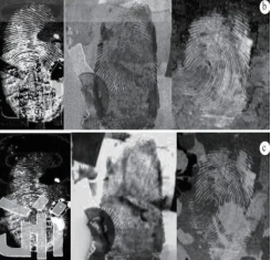 1714273248141755.png image.png