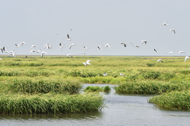 高光譜相機在濕地監測方面的應用