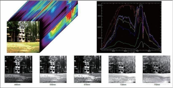 1726820728200826.png image.png