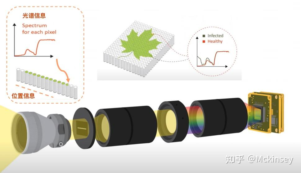 高光譜相機如何檢測煙葉霉變？