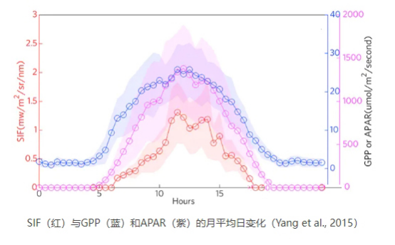 1742365699592350.png image.png