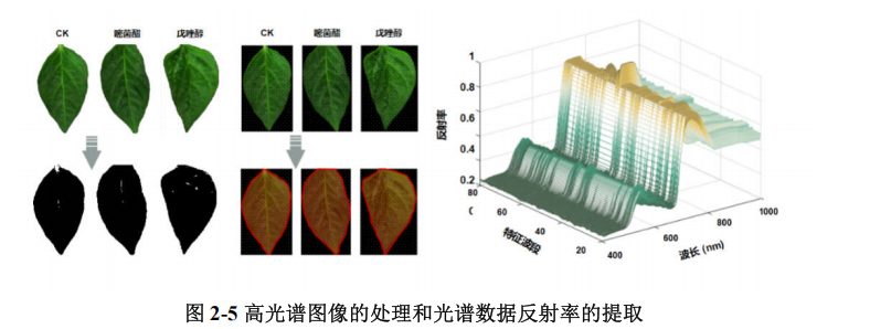 1765269921190735.png 圖片3.png